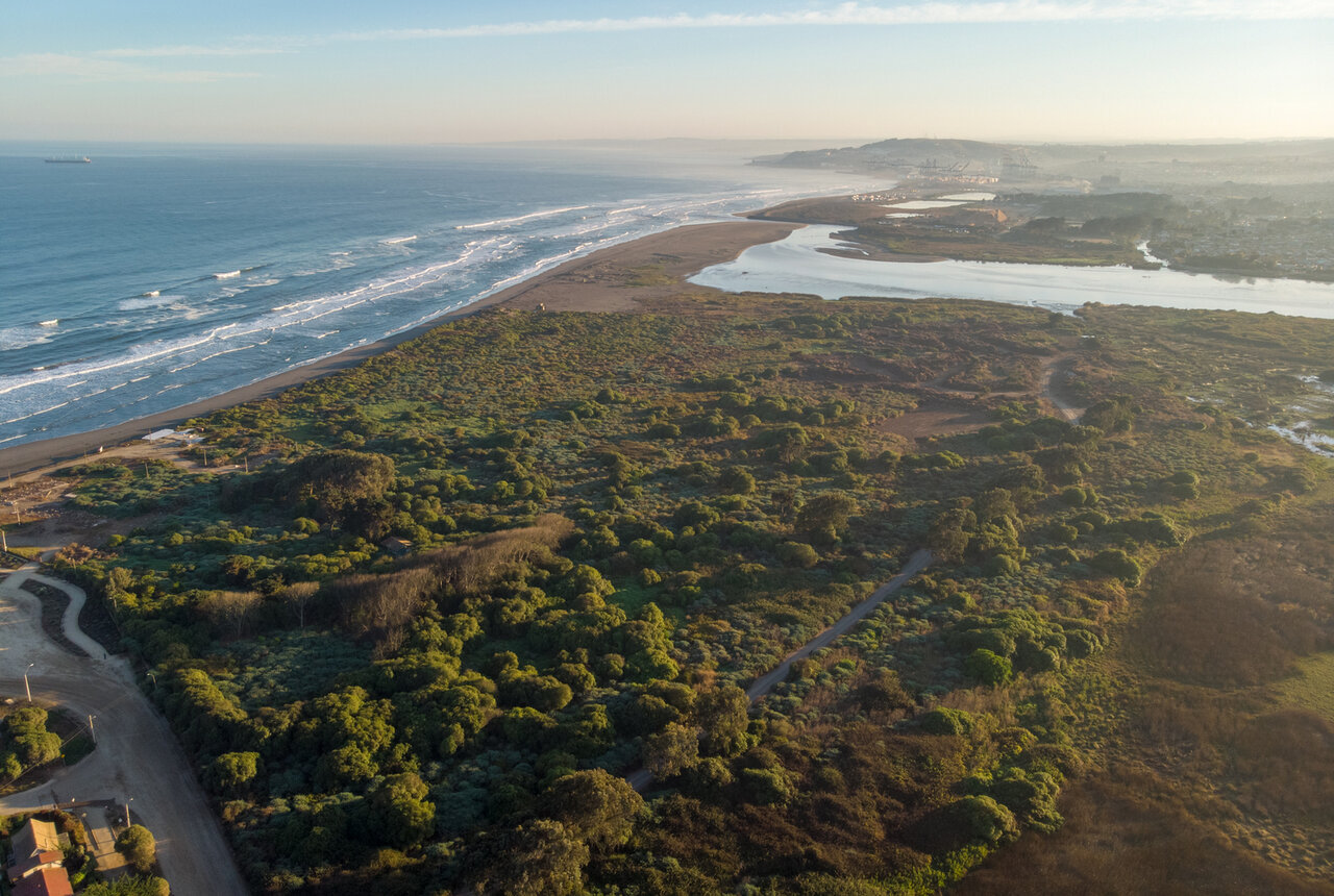 طراحی هماهنگ با طبیعت؛ معماری در تالابهای شهری