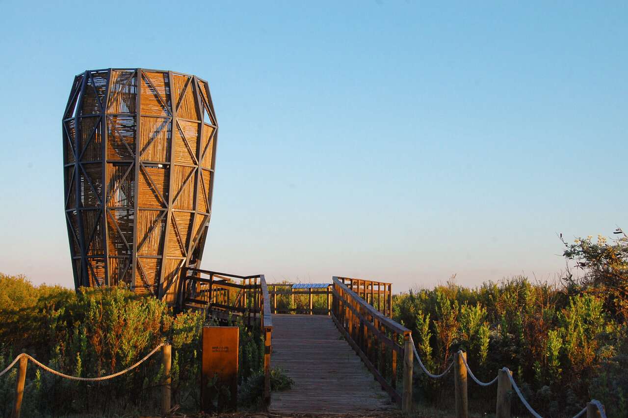 طراحی هماهنگ با طبیعت؛ معماری در تالابهای شهری