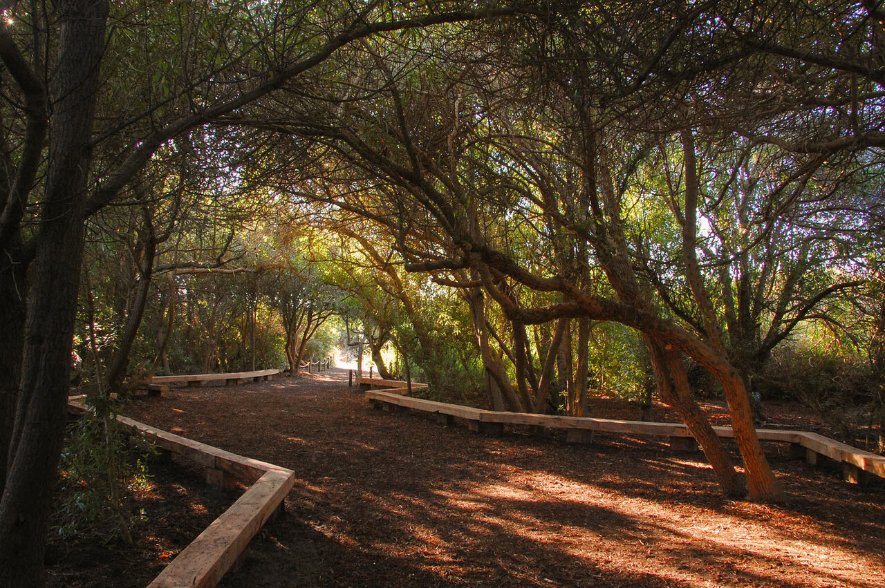 طراحی هماهنگ با طبیعت؛ معماری در تالابهای شهری