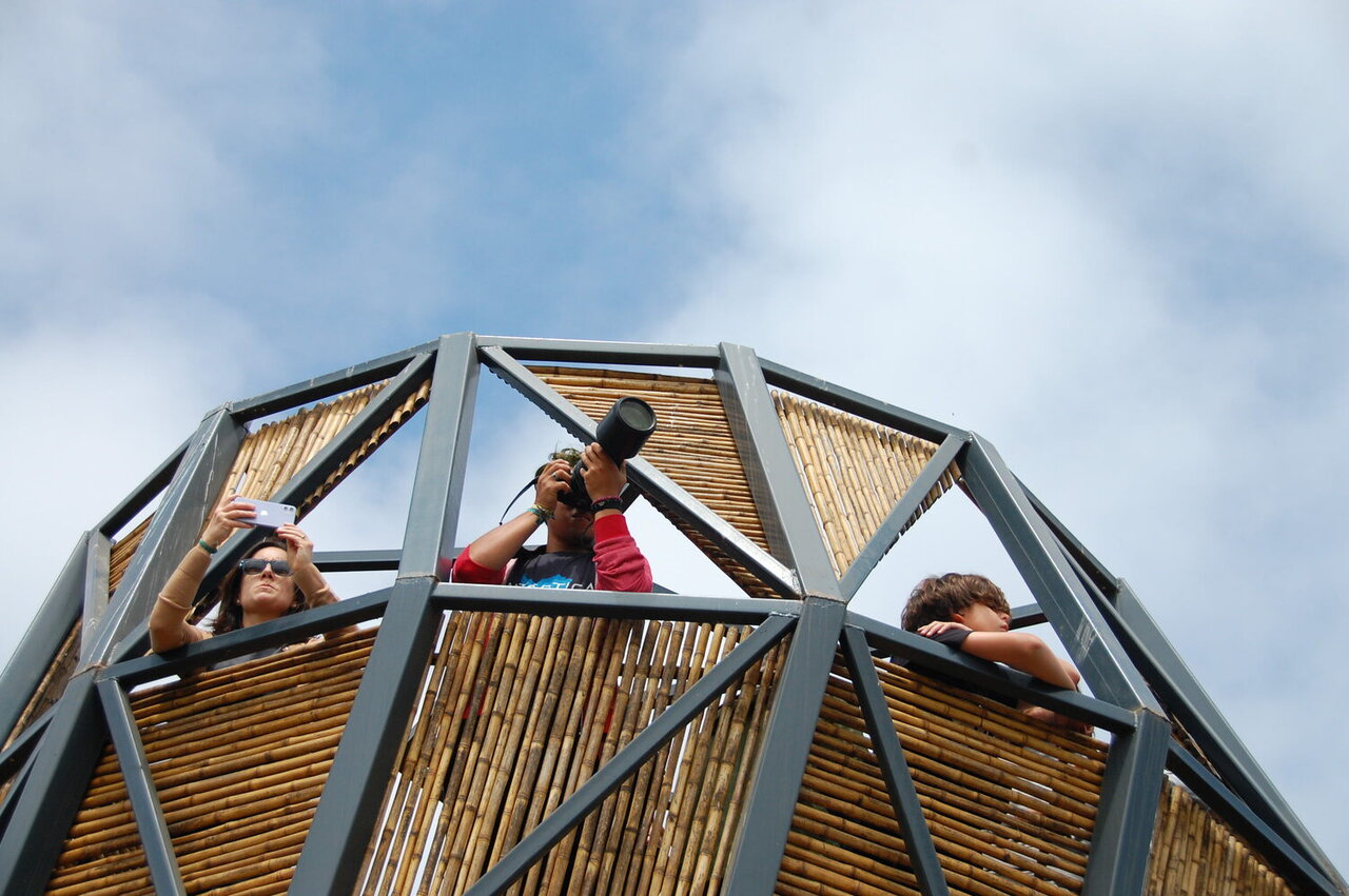 طراحی هماهنگ با طبیعت؛ معماری در تالابهای شهری