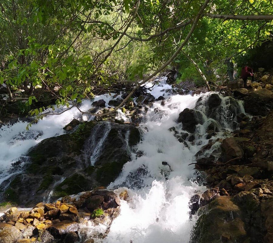 سفری شاعرانه در دیار خیام و عطار