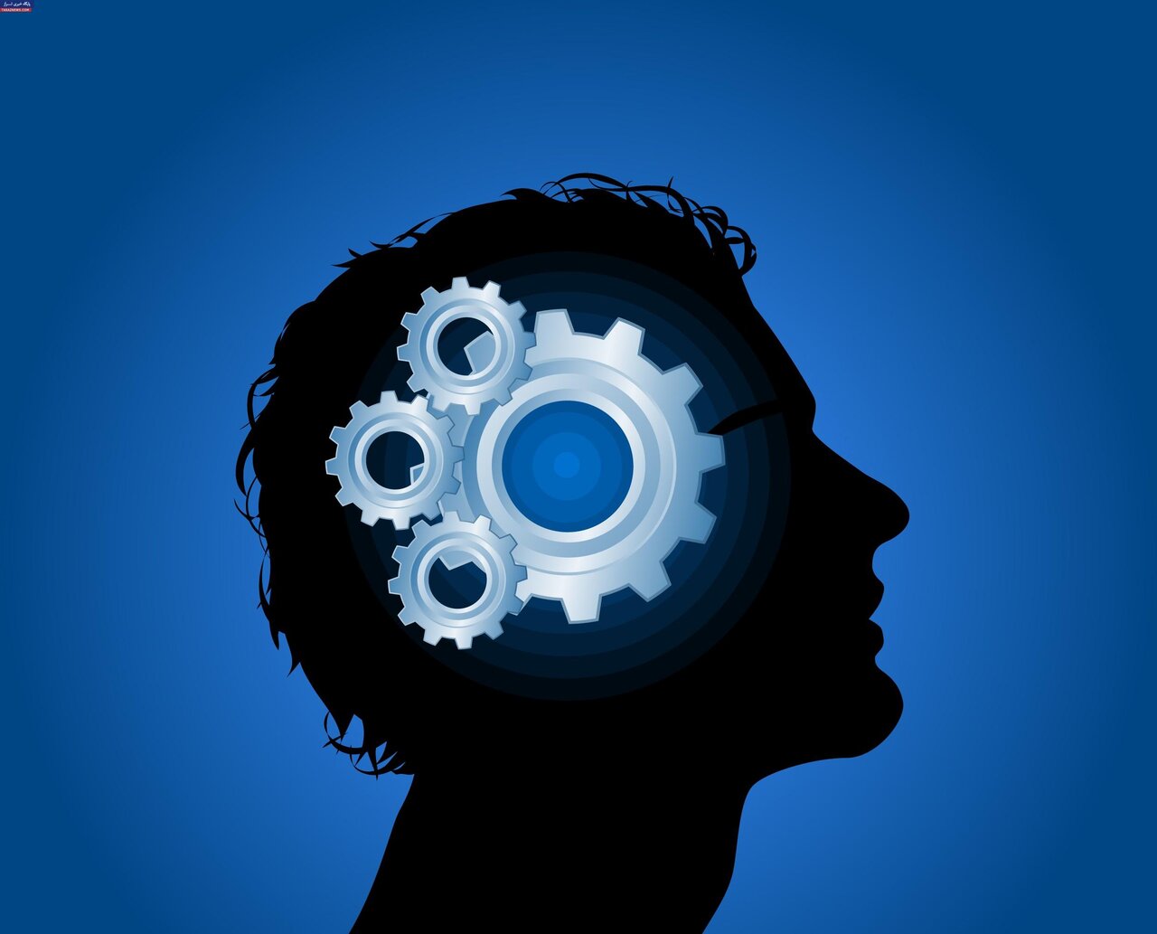 فروپاشی نظامهای سنتی؛ انقلاب کارآفرینان جوان آغاز شده است