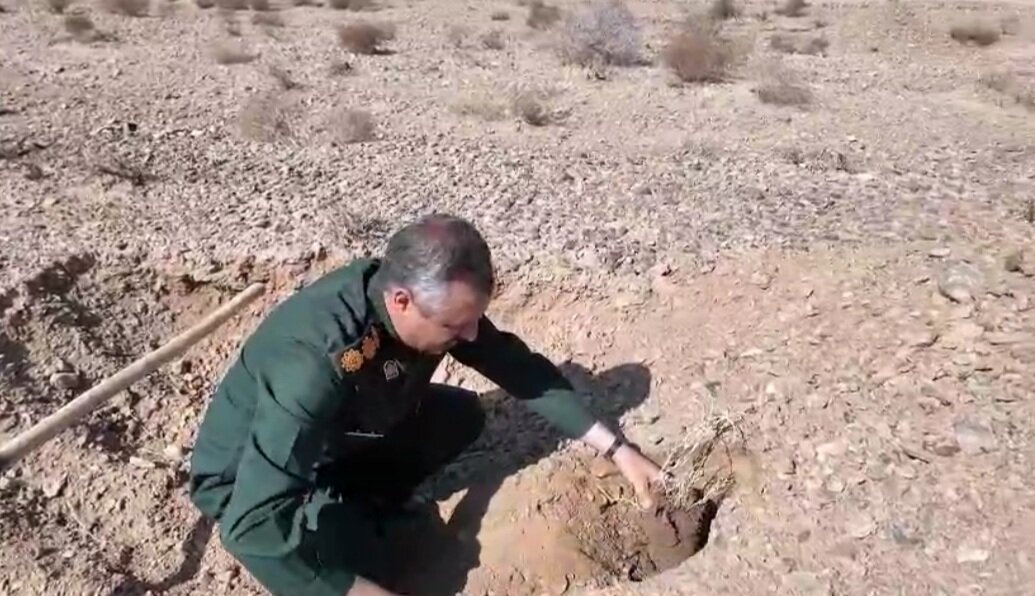 کشت گیاهان کمآبخواه در یزد، راه حلی برای بیابانزایی و توسعه اقتصادی