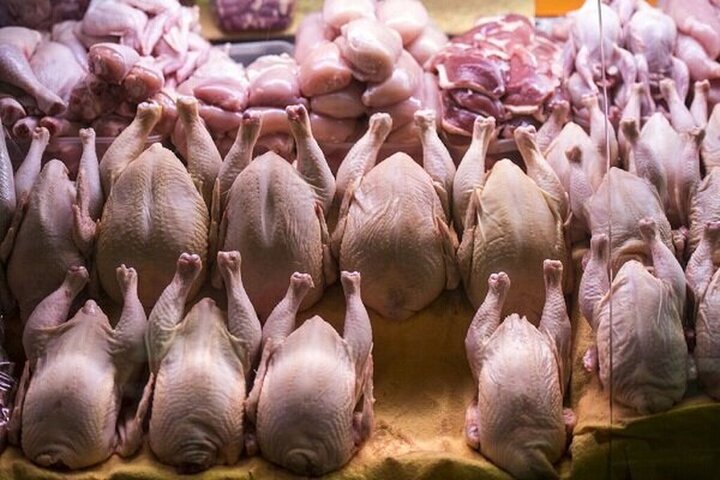 مرغ برای مازندرانیها طلایی شد مرغ برای مازندرانیها طلایی شد