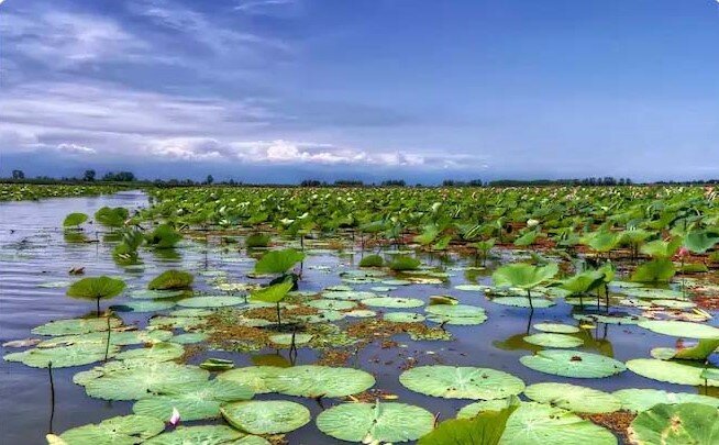 از بازار سنتی تا تالاب عزیزک، بابلسر را کشف کنید