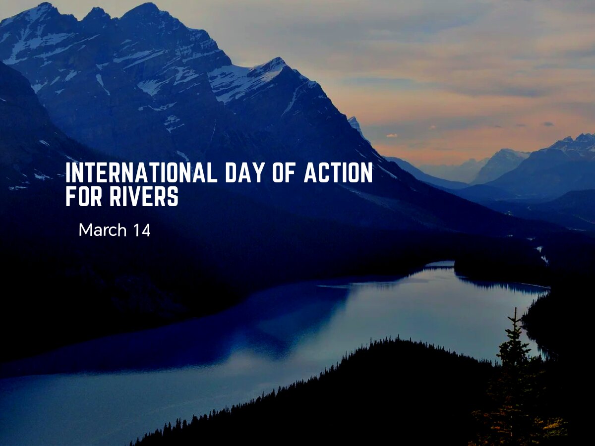 رودخانهها، در معرض خطرترین داراییهای طبیعی