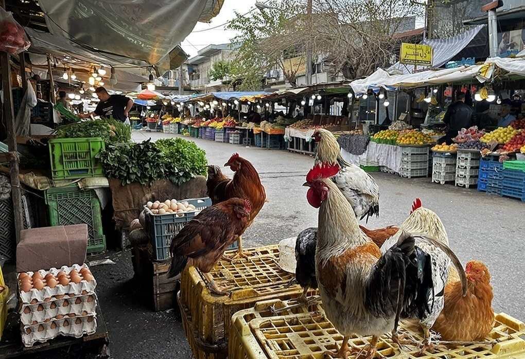 خرید، گردش و فرهنگ در بازارهای هفتگی گلستان