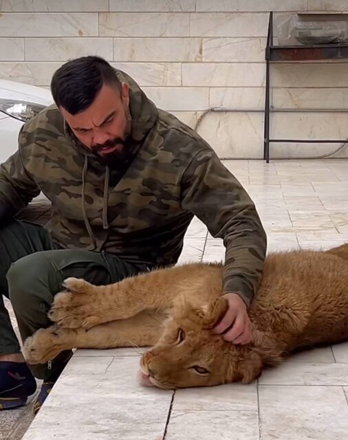 امیر علیاکبری هنوز توله شیر را تحویل نداده است