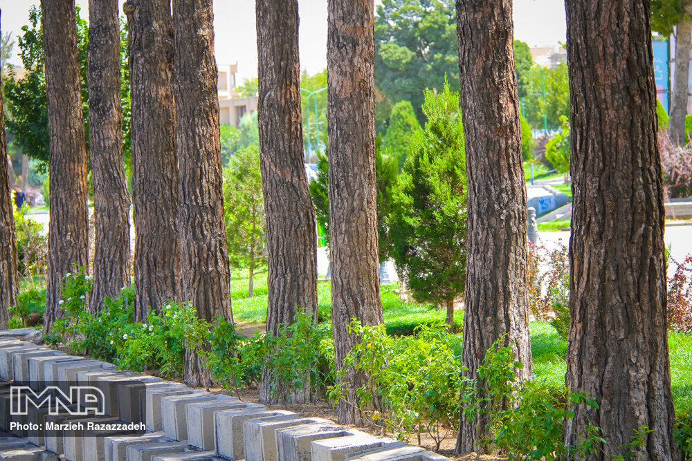 ریههای تهران نیازمند احیا