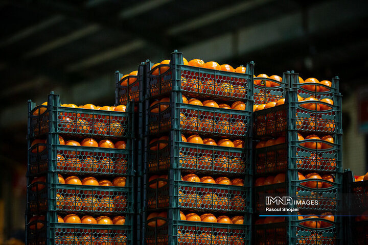 وظیفه دولت، کنترل قیمت در بازار است