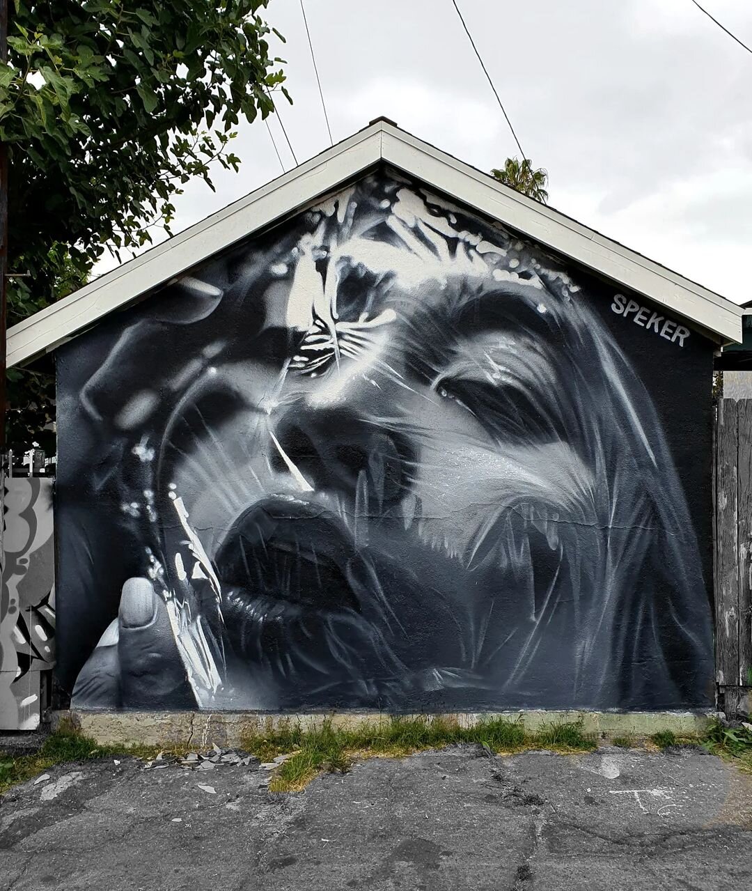 برترین شهرهای میزبان هنر خیابانی در ۲۰۲۵ + عکس