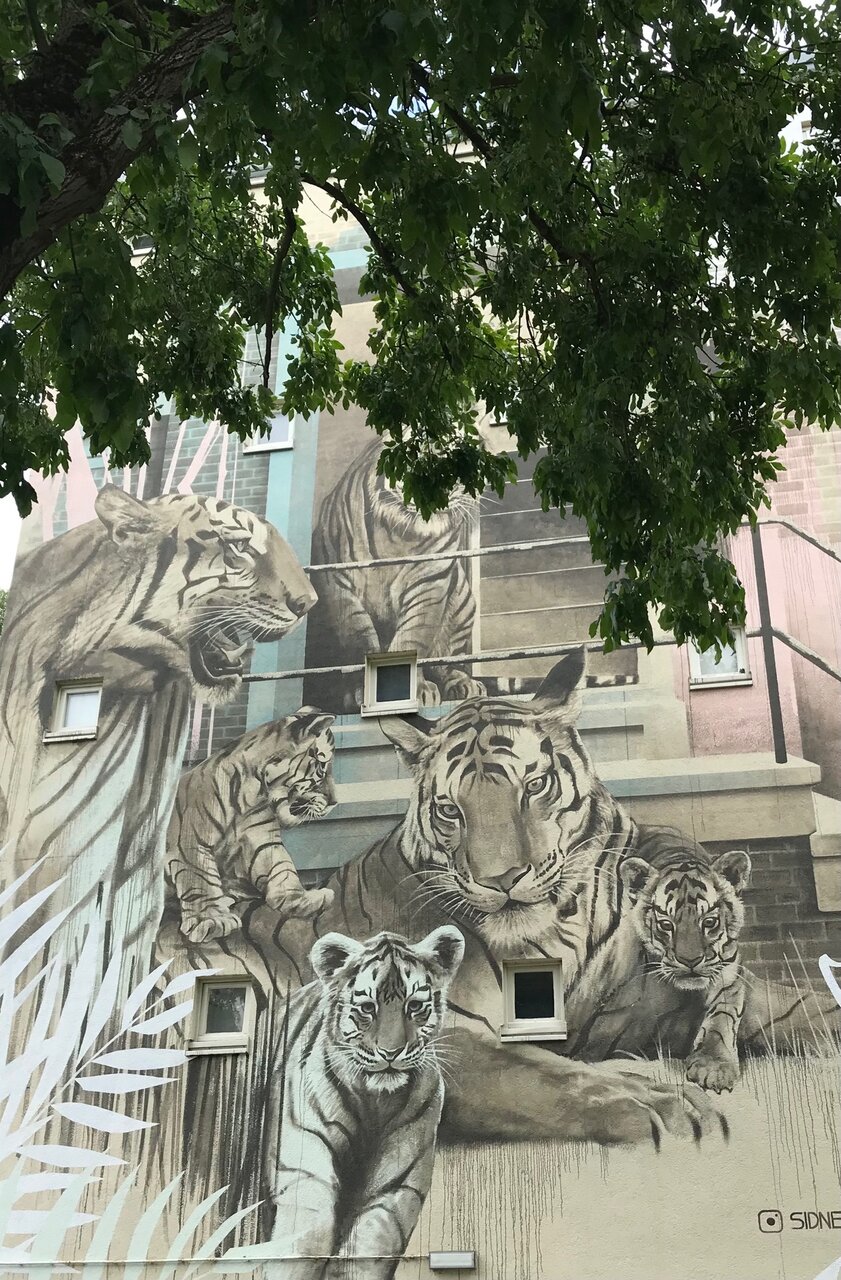 برترین شهرهای میزبان هنر خیابانی در ۲۰۲۵ + عکس