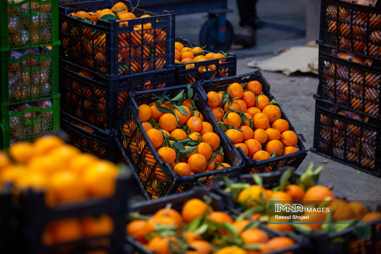 بازارچههای میوه و ترهبار، گامی برای نزدیک کردن مزارع به خانوارهای شهری