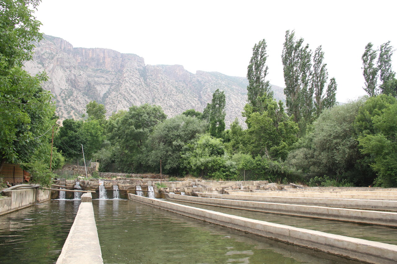 بدره؛ سرزمین شگفتیها