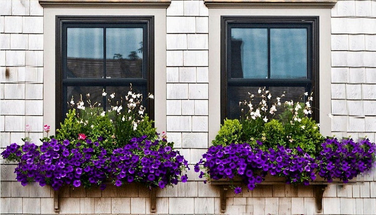 گوهرهایی گرانبها در سایه روابط صمیمی انسانی