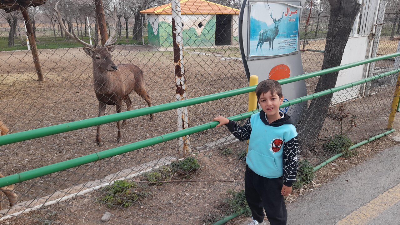 جاذبههای گردشگری اراک؛ ترکیبی از طبیعت، فرهنگ و تاریخ