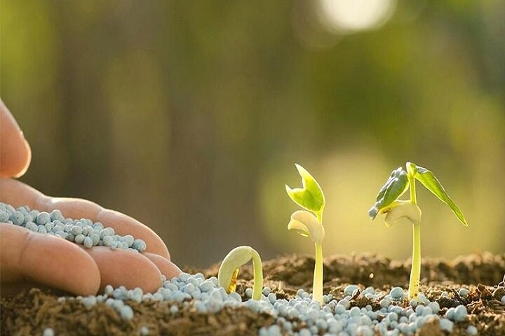 تعادل بین بهرهوری و حفاظت از محیط زیست