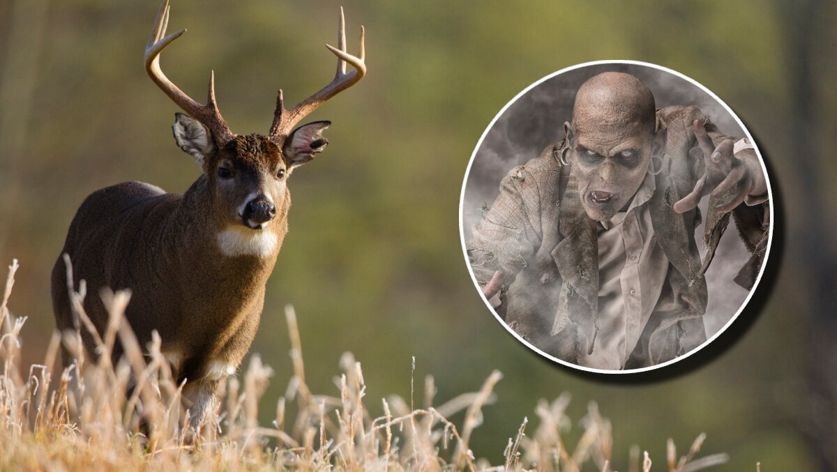 زامبی گوزنی در حال گسترش است