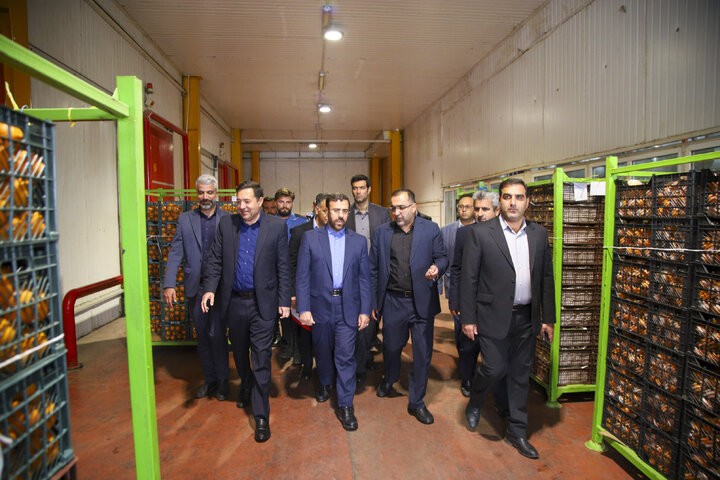 هیچ کمبودی در توزیع میوه تنظیم بازار وجود ندارد