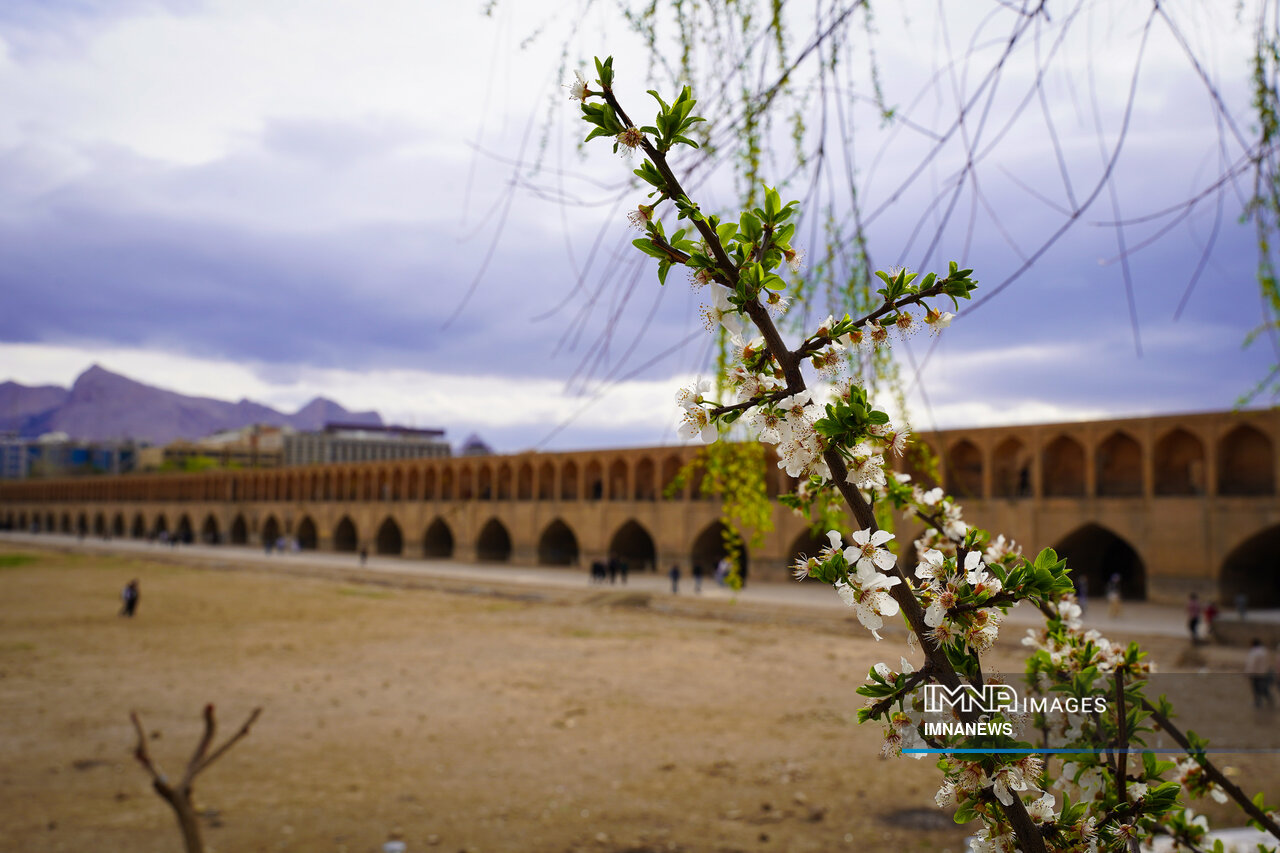 این آب سیاست میخواهد!