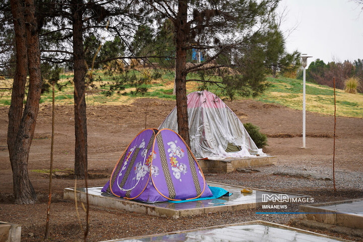دومین روز بهار در باغ فدک