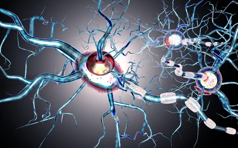 بهترین تمرینات برای بیماری ام اس