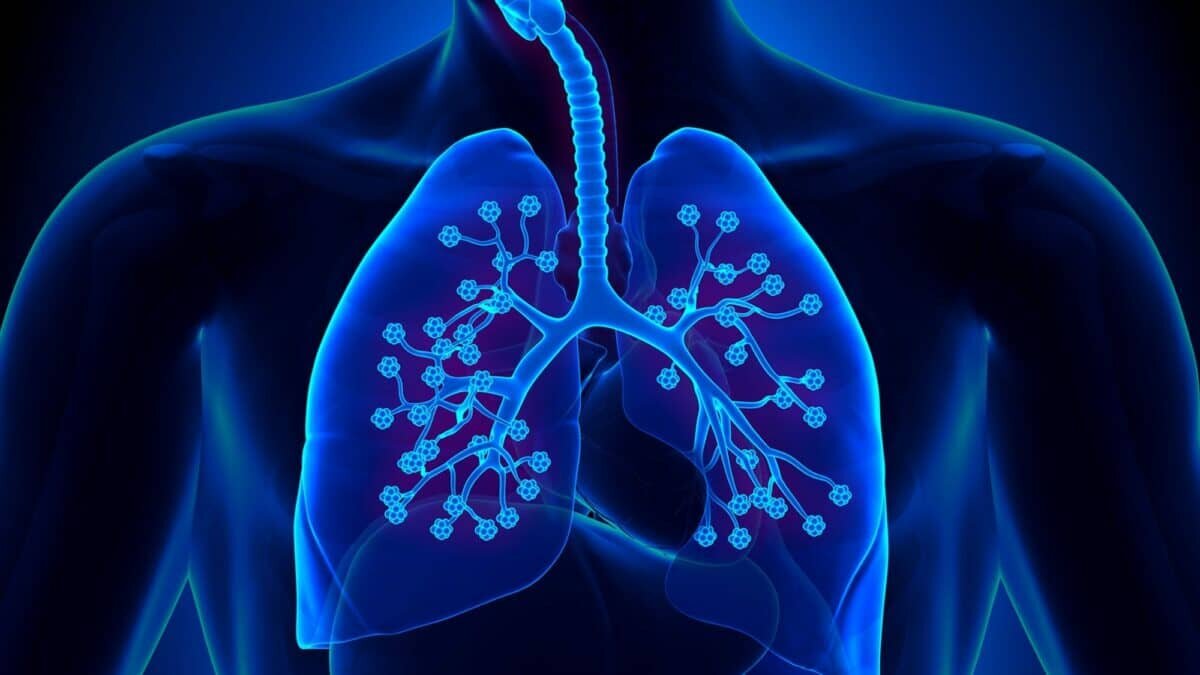شگفتیهای ریه و کارکرد آن