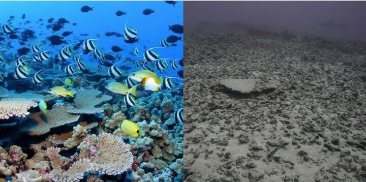 ردپای مخرب بشر بر طبیعت