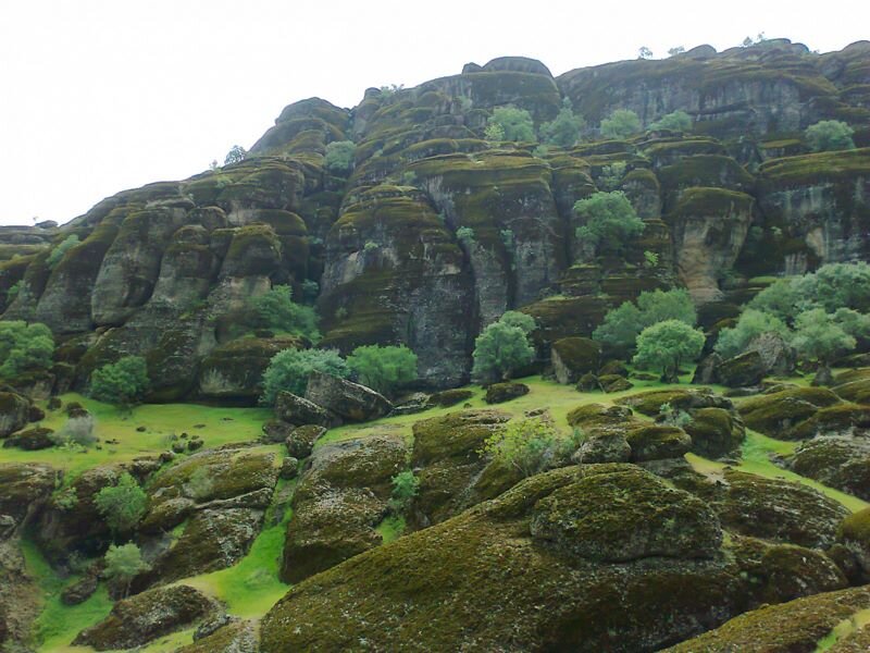 پارک جنگلی مخملکوه؛ گنجینهای سبز در دل زاگرس