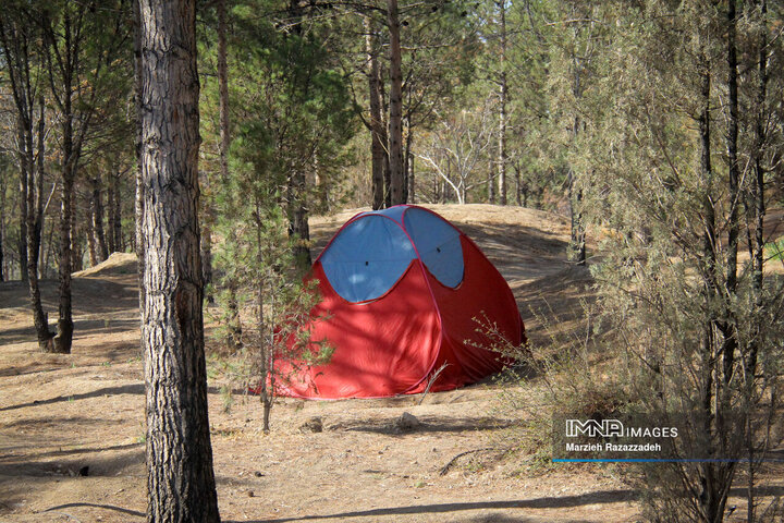 باغ فدک در هشتمین روز از تعطیلات نوروزی