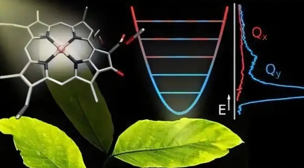 کربن کوانتومی؛ انقلاب حسگرهای نوین