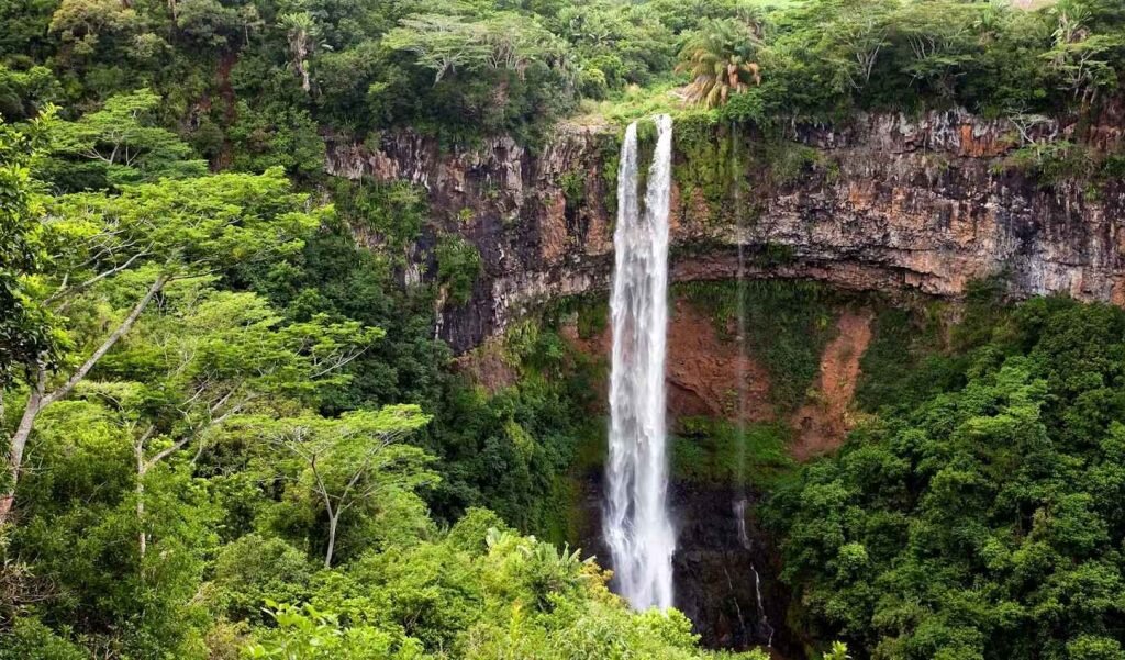 جاذبه های موریس ماداگاسکار + 5 جای دیدنی موریس