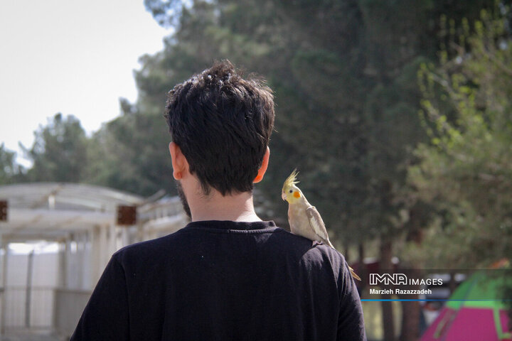 باغ فدک در دوازهمین روز بهار