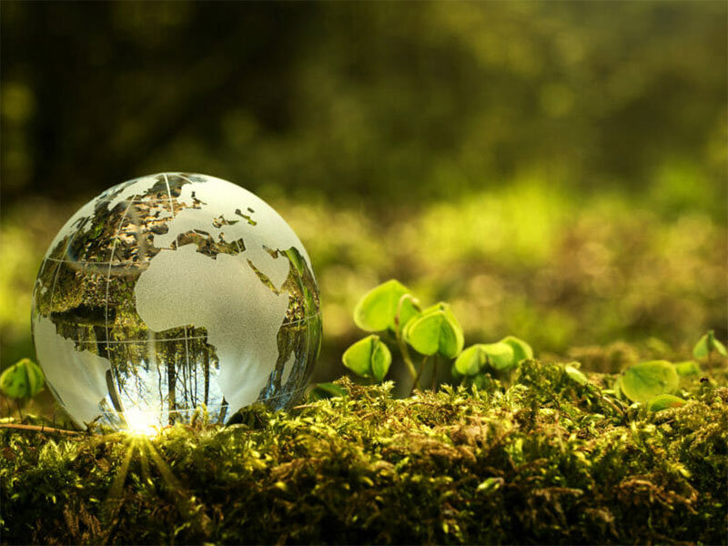 پیوندی درهمآمیخته میان سلامت روان و طبیعت