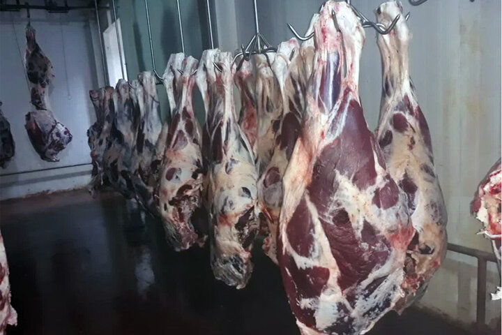 اهدای ۲هزار کیلو گوشت قربانی به نیازمندان سنندجی