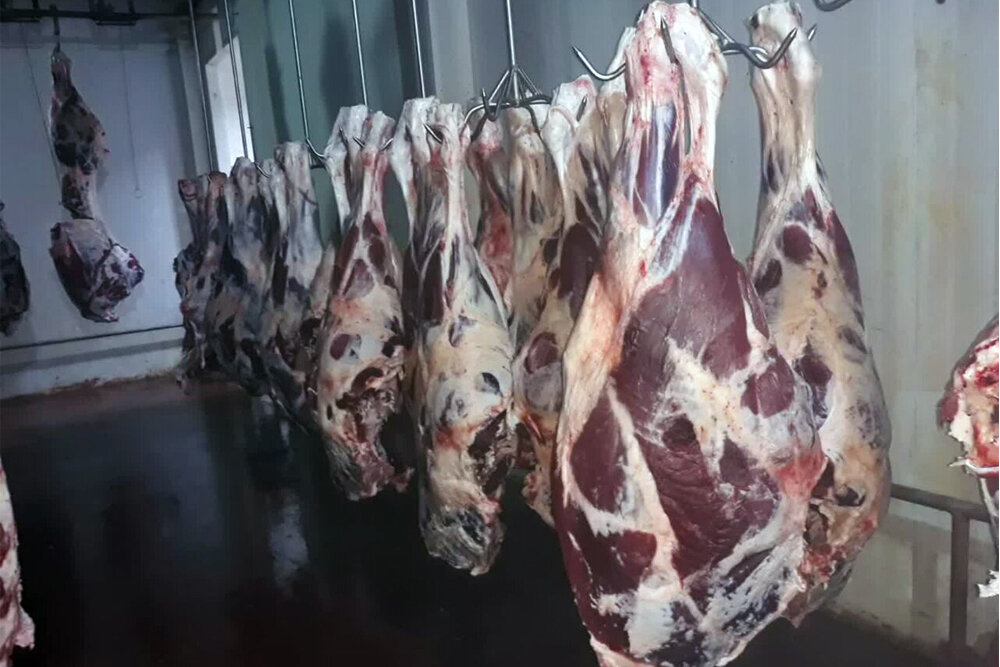 قیمت گوشت قرمز و فاجعه هولناک کباب کوبیده ارزان