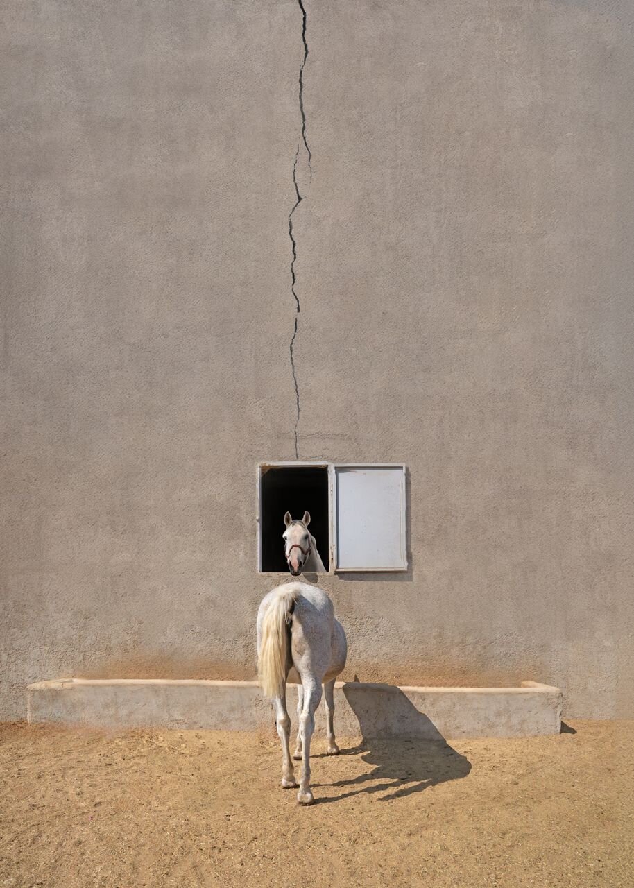 ابوالقاسم خوشرو در بین  ۱۰ عکاس برتر جهان