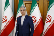 استفاده از ساز و کار ماشه هیچ مبنای قانونی و دلیل منطقی ندارد