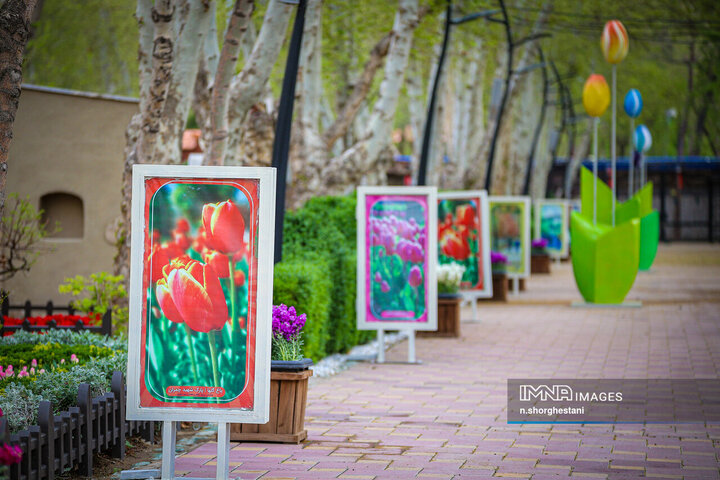 باغ لاله‌ها در کرج