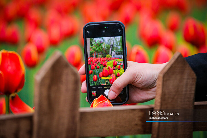 باغ لاله‌ها در کرج