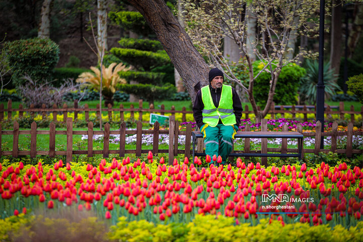 باغ لاله‌ها در کرج