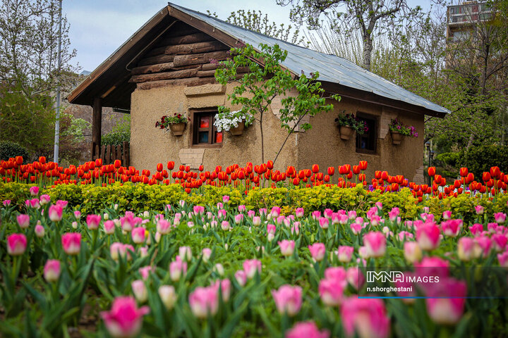 باغ لاله‌ها در کرج