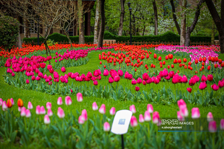 باغ لاله‌ها در کرج