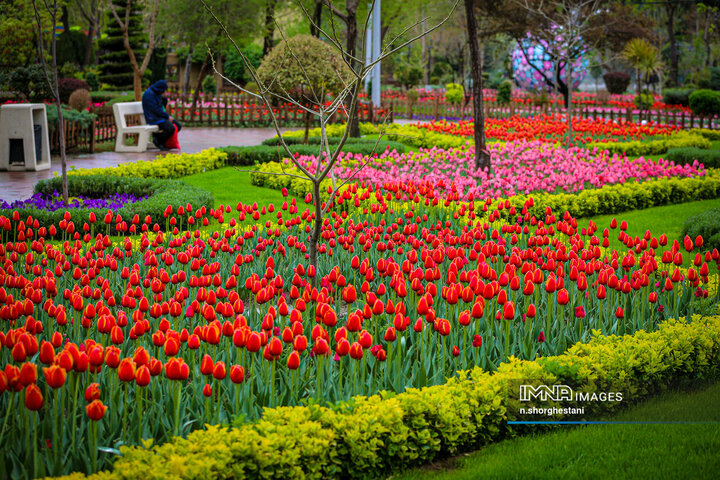 باغ لاله‌ها در کرج
