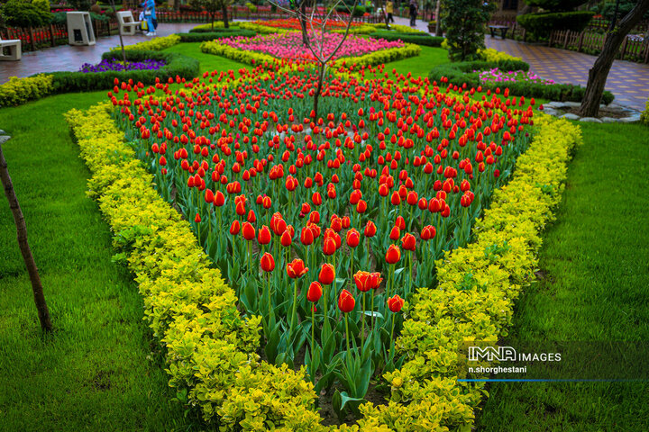 باغ لاله‌ها در کرج