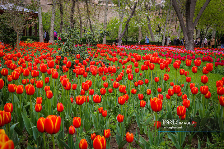 باغ لاله‌ها در کرج