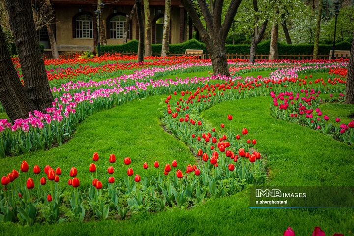 باغ لاله‌ها در کرج