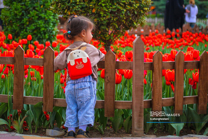 باغ لاله‌ها در کرج