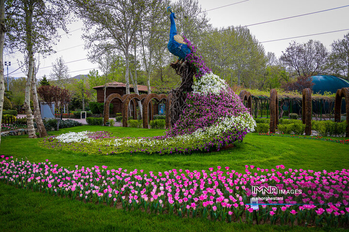 باغ لاله‌ها در کرج