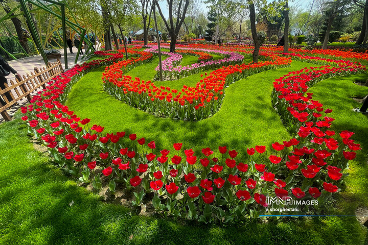 باغ لاله‌ها در کرج